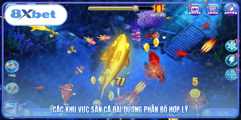 Các khu vực săn cá đại dương phân bổ hợp lý
